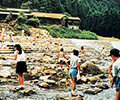 画像: